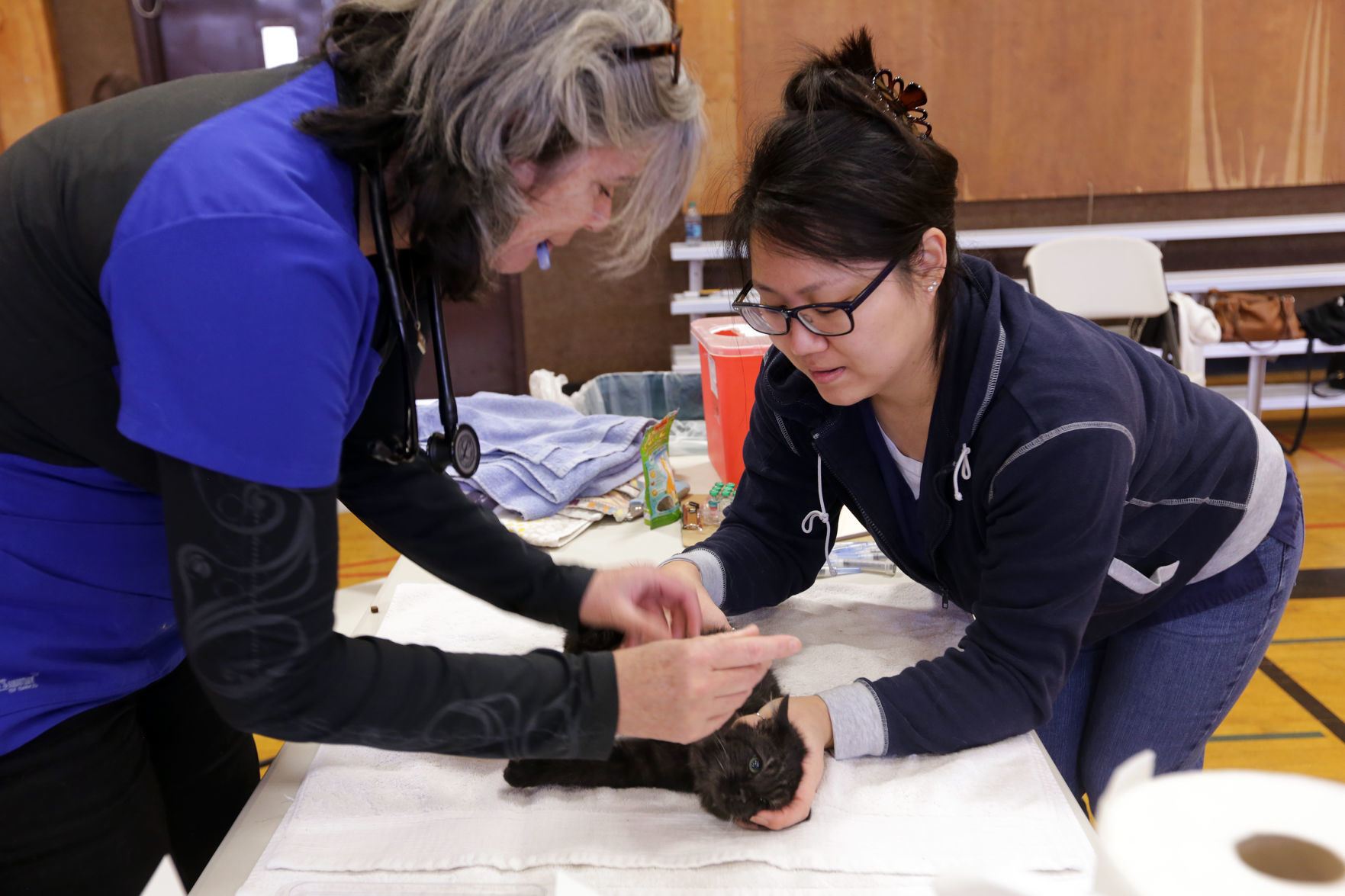 JARR organizes Napa pet vaccination clinic